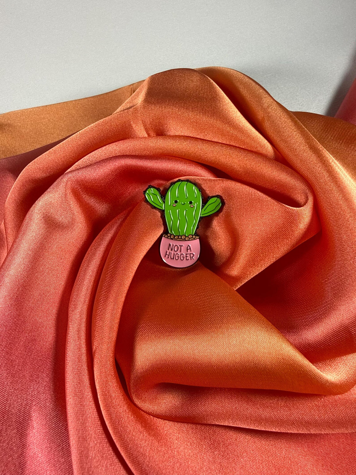 Cactus Not a hugger! Enamel Pin Badge | Pincredible