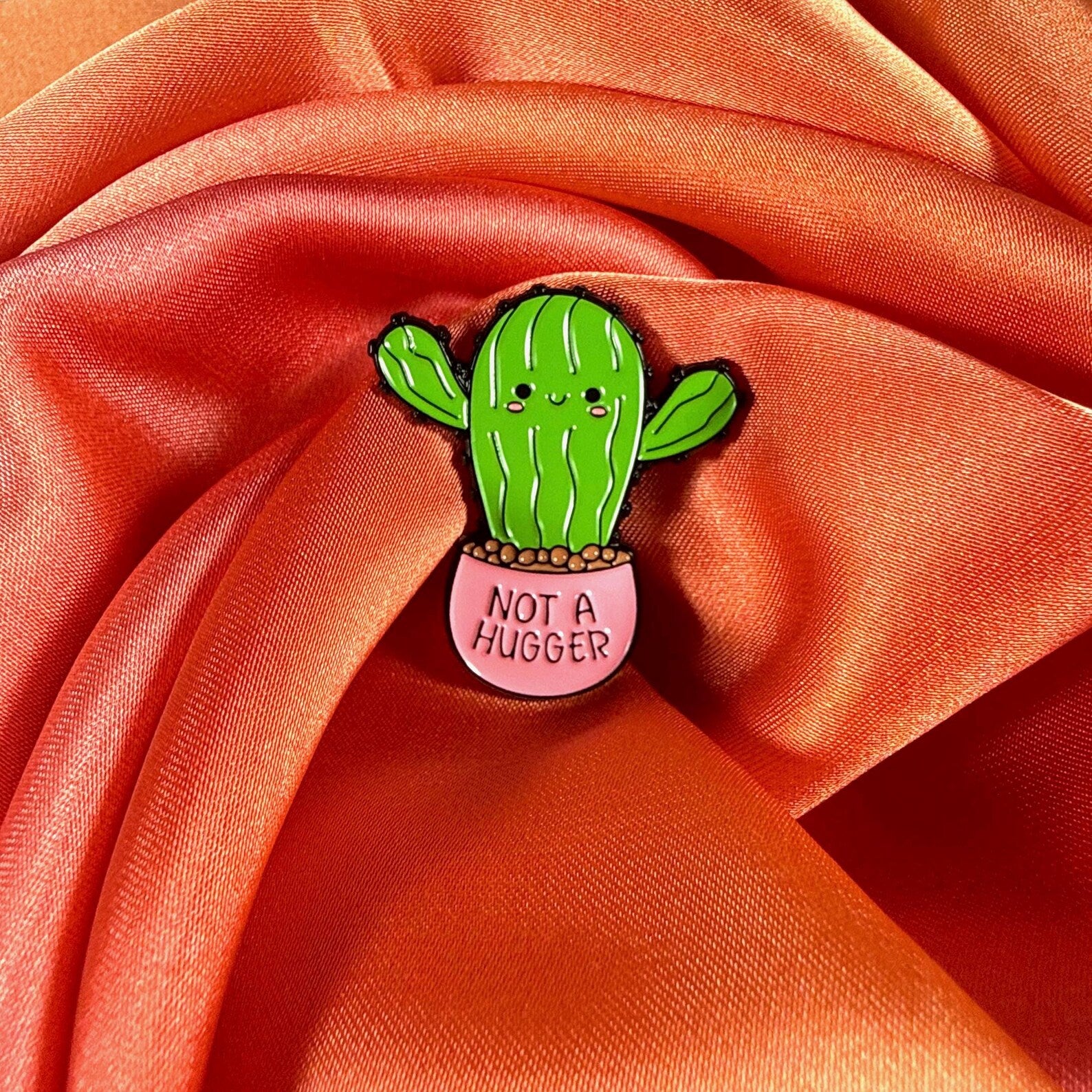 Cactus Not a hugger! Enamel Pin Badge | Pincredible